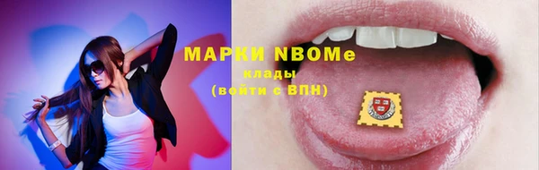 хмурый Алексин