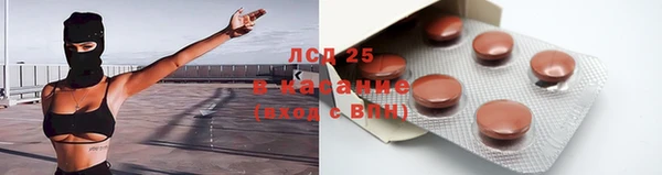 хмурый Алексин