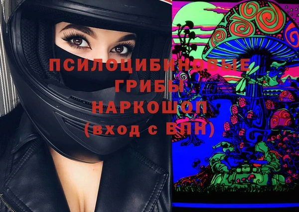 твердый Алексеевка